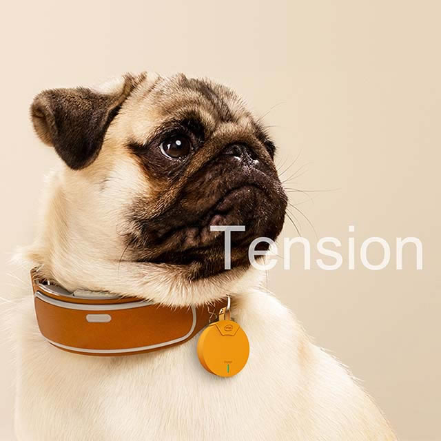 创意产品设计案例——Tension狗狗GPS定位器